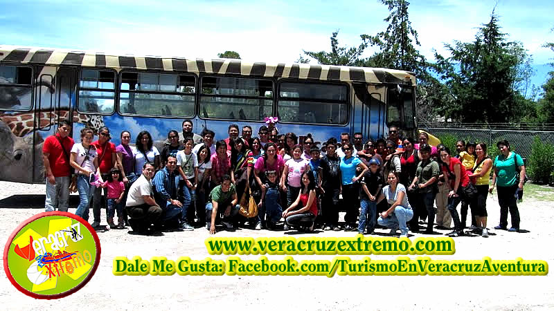Excursión a Africam Safari Saliendo De Veracruz y Xalapa