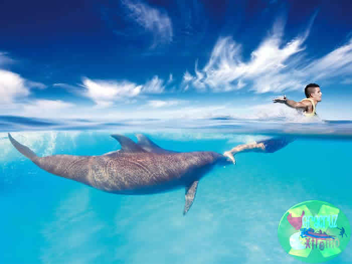 Vacaciones En Cancun