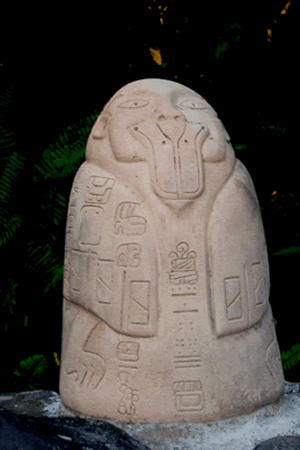 Reserva Ecologica de Nanciyaga Veracruz