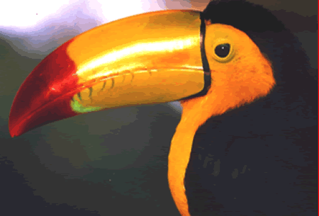Reserva Ecologica De Nanciyaga